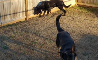 James's photo of camping with pets at Maple Ridge RV Park near Landrum, SC