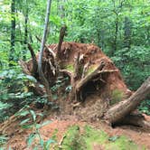 Review photo of Fern Cove - Black Rock Mountain State Park by Crystal C., September 28, 2018