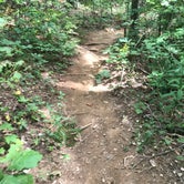 Review photo of Fern Cove - Black Rock Mountain State Park by Crystal C., September 28, 2018