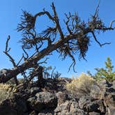 Review photo of Lava Flow Campground — Craters of the Moon National Monument by Lauren P., January 15, 2023