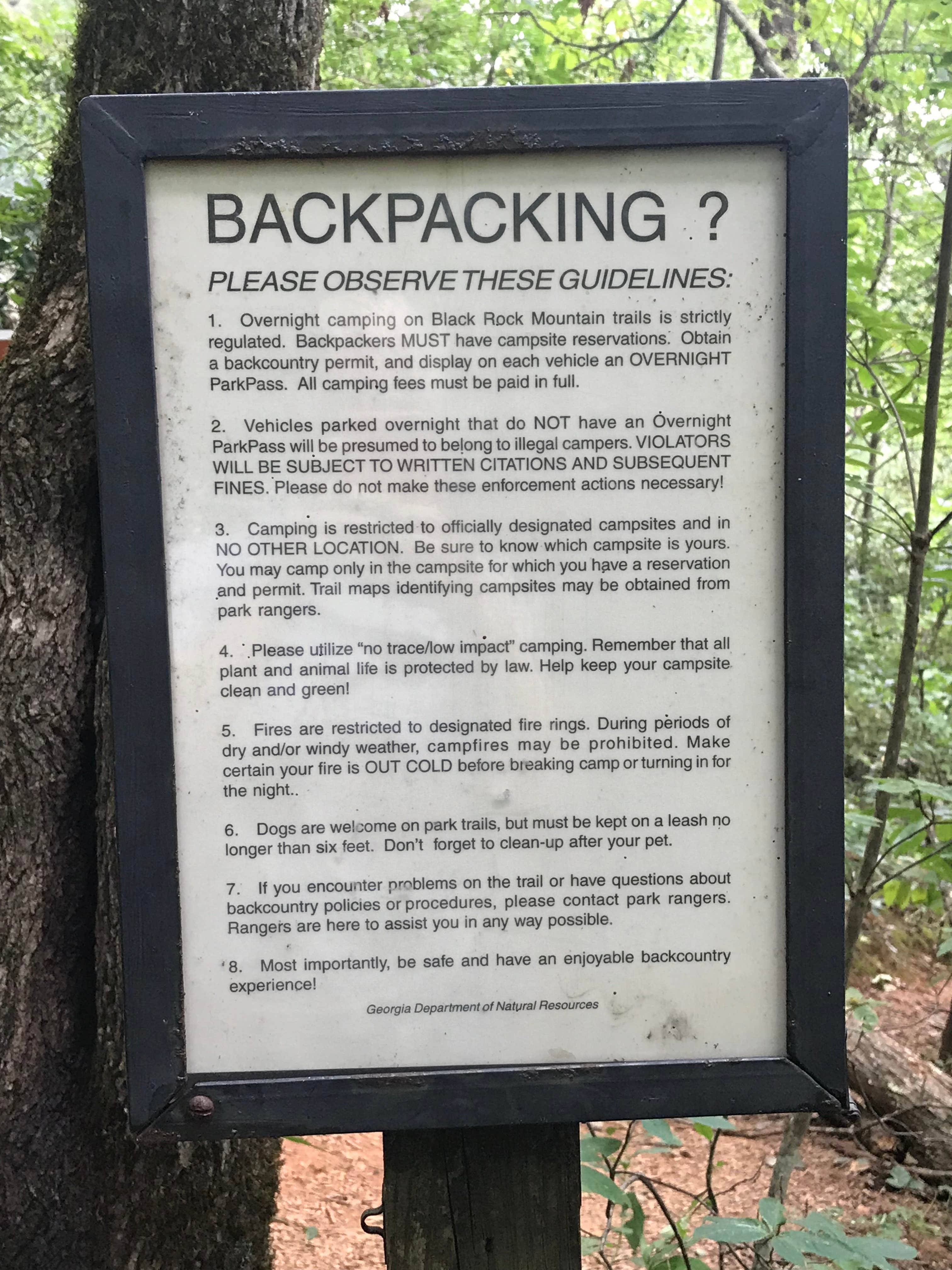 are dogs allowed at black rock mountain state park