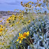 Review photo of Mecca Beach Campground — Salton Sea State Recreation Area by cal K., January 16, 2023