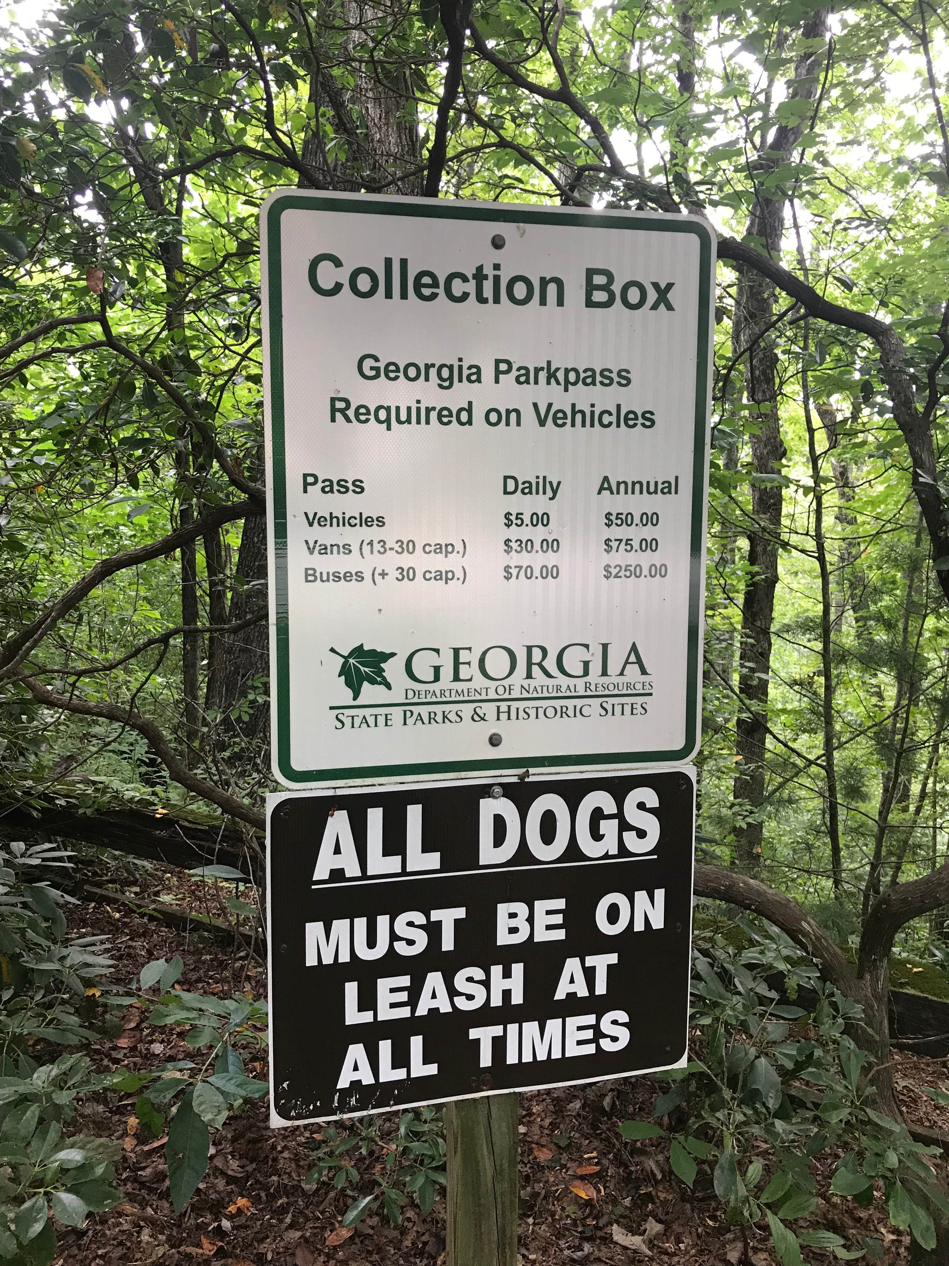 Camper-submitted photo at Fern Cove — Black Rock Mountain State Park near Dillard, GA