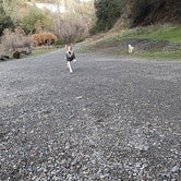 Review photo of Thousand Trails Russian River by Bambi K., January 16, 2023