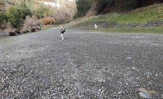 Bambi K.'s photo of camping with pets at Thousand Trails Russian River near Lakeport, CA