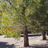 Review photo of Elephant Butte Lake RV Resort by Bambi K., January 16, 2023