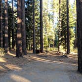 Review photo of Fallen Leaf Campground - South Lake Tahoe by Elliott B., September 28, 2018