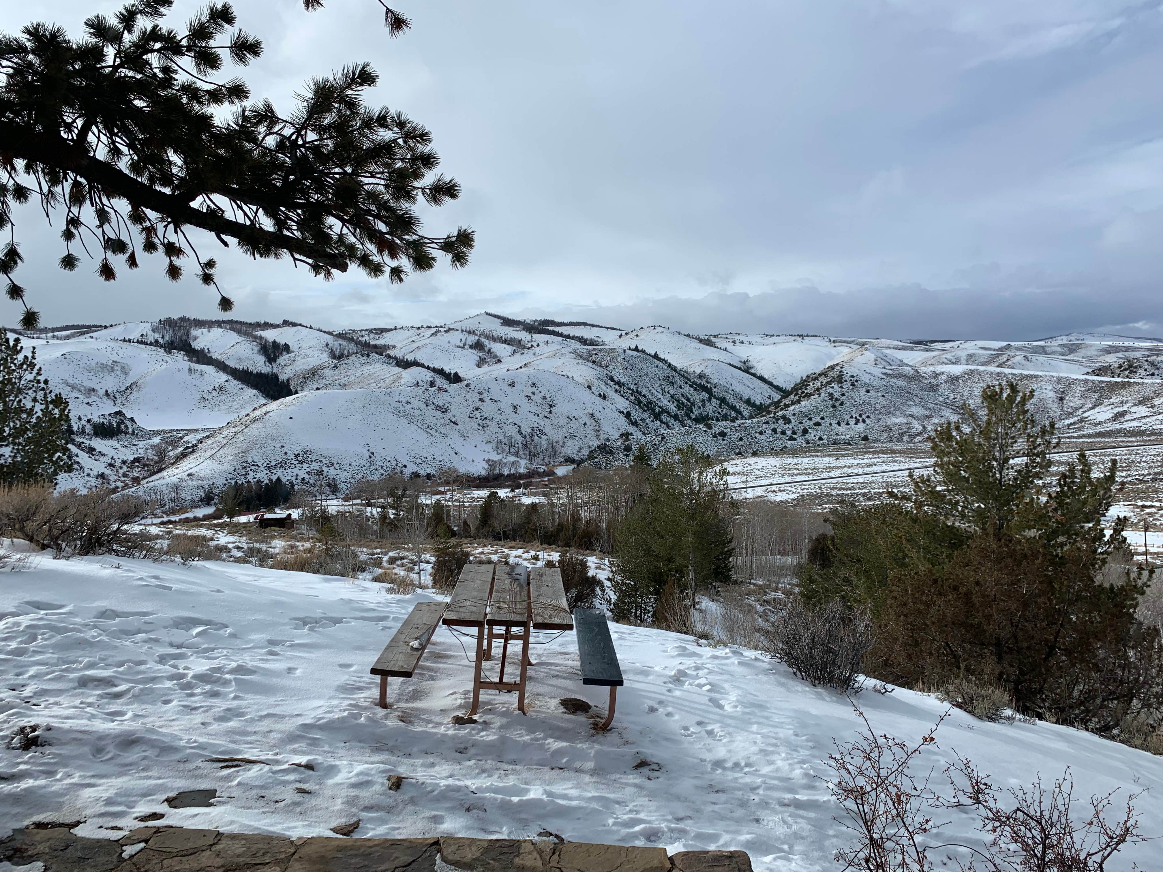 Camper-submitted photo at Little Cabin With a View near Jelm, WY