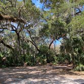 Review photo of Little Talbot Island State Park Campground by Stuart K., January 16, 2023