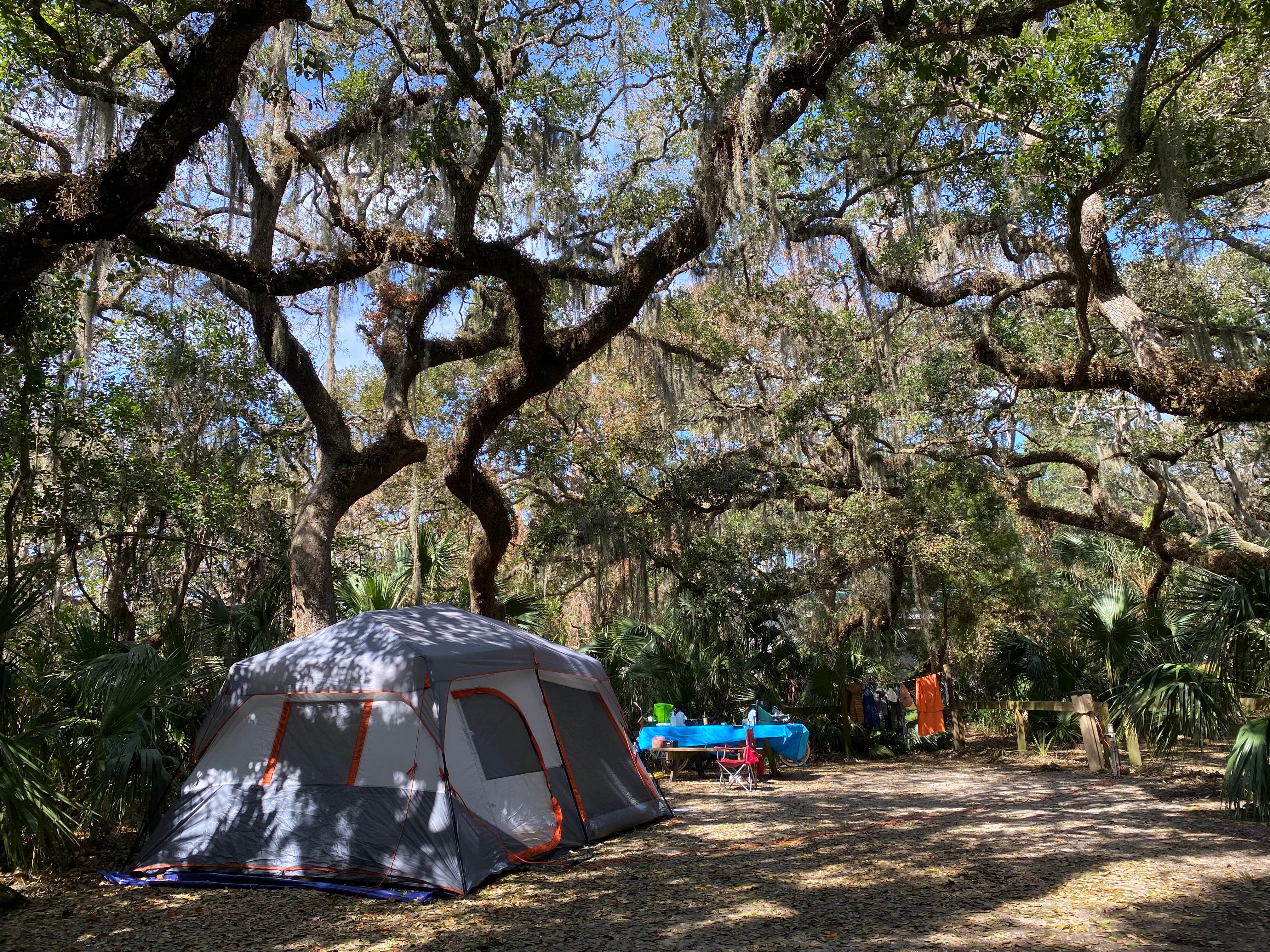 Stuart K.'s photo at Little Talbot Island State Park Campground near Fernandina Beach, FL
