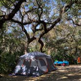 Review photo of Little Talbot Island State Park Campground by Stuart K., January 16, 2023