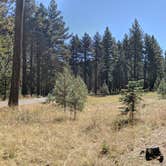 Review photo of Fallen Leaf Campground - South Lake Tahoe by Elliott B., September 28, 2018