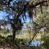 Review photo of Little Talbot Island State Park Campground by Stuart K., January 16, 2023