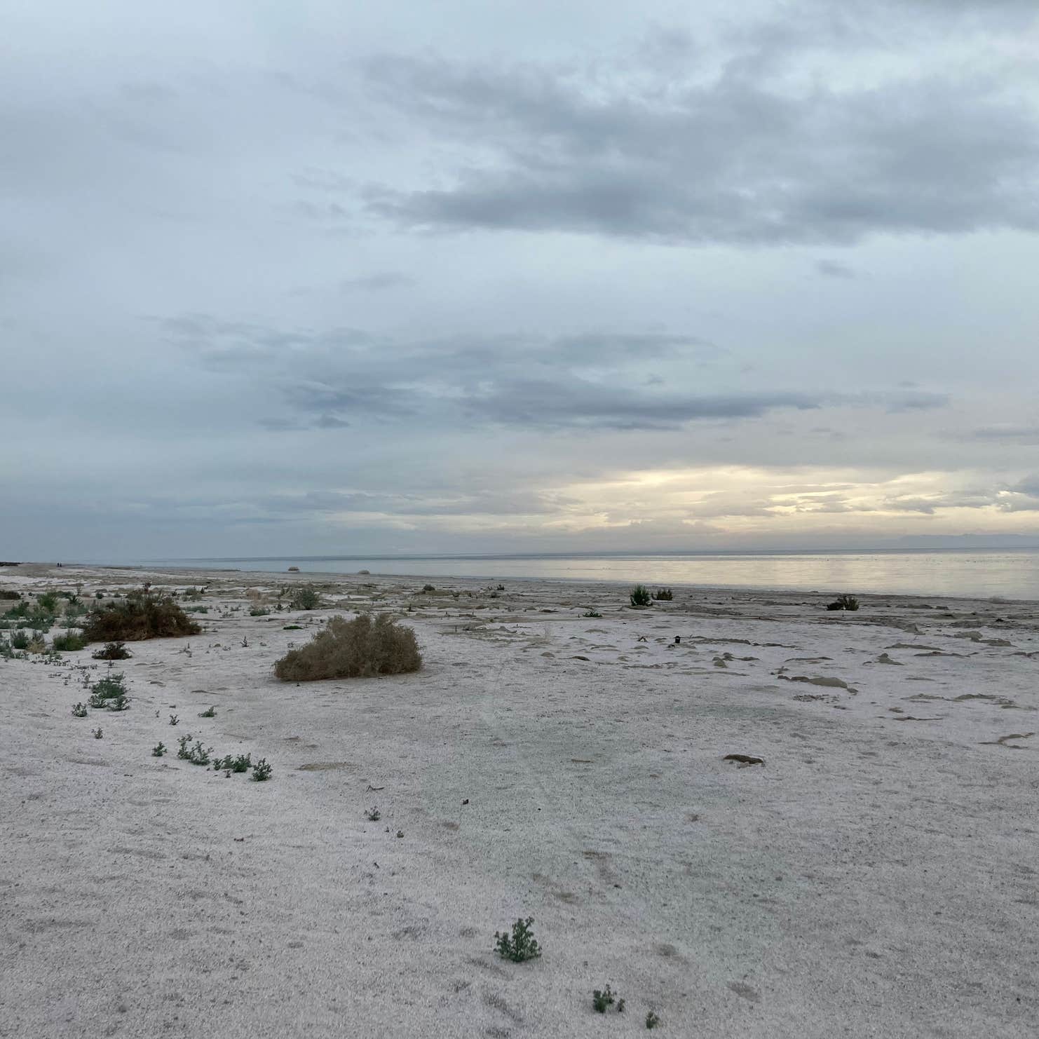 Mecca Beach Campground — Salton Sea State Recreation Area North Shore, CA