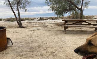 cal K.'s photo of camping with pets at Mecca Beach Campground — Salton Sea State Recreation Area near Niland, CA