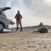 Review photo of Joshua Tree North BLM by cal K., January 16, 2023