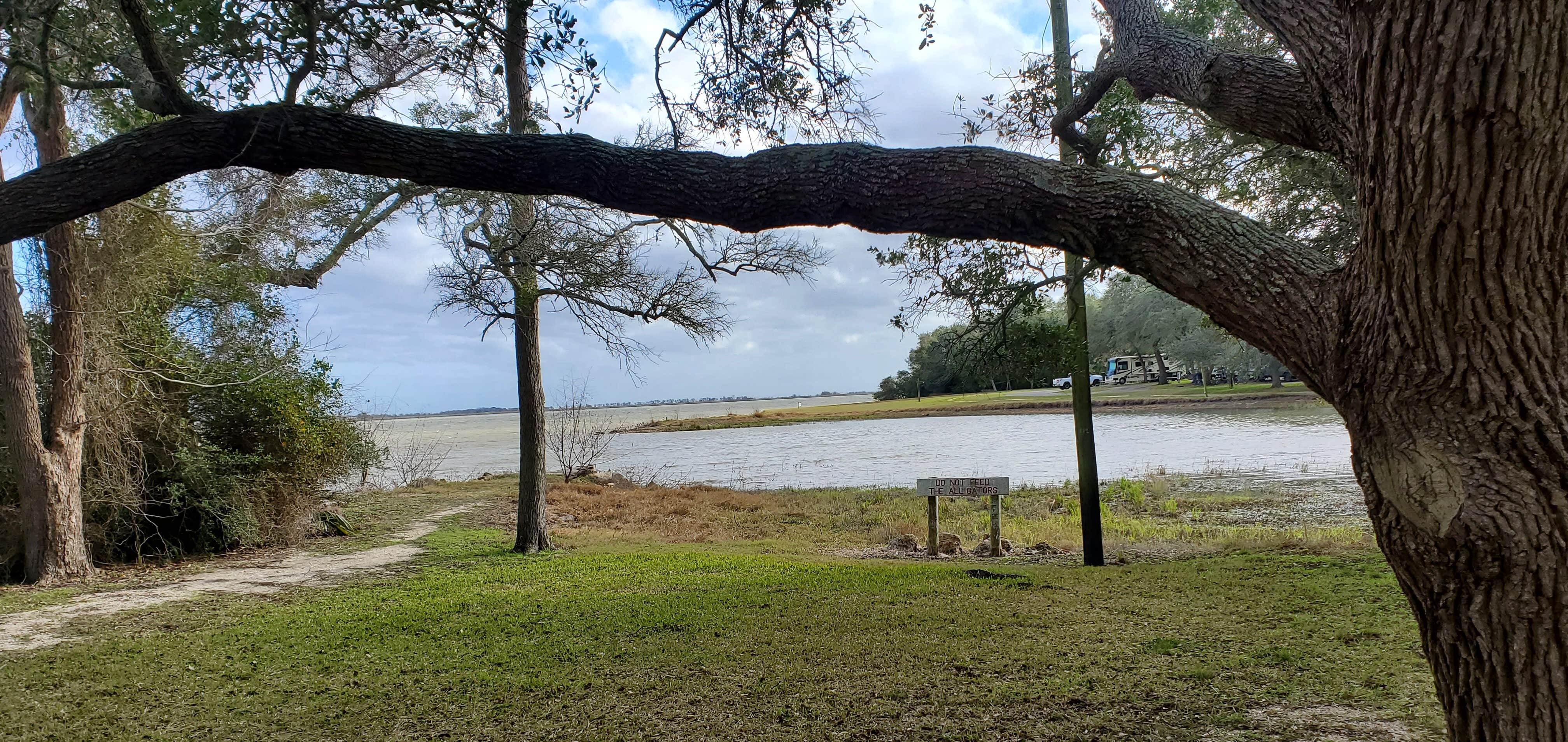 Camper-submitted photo at Brackenridge Park & Campground near Hallettsville, TX