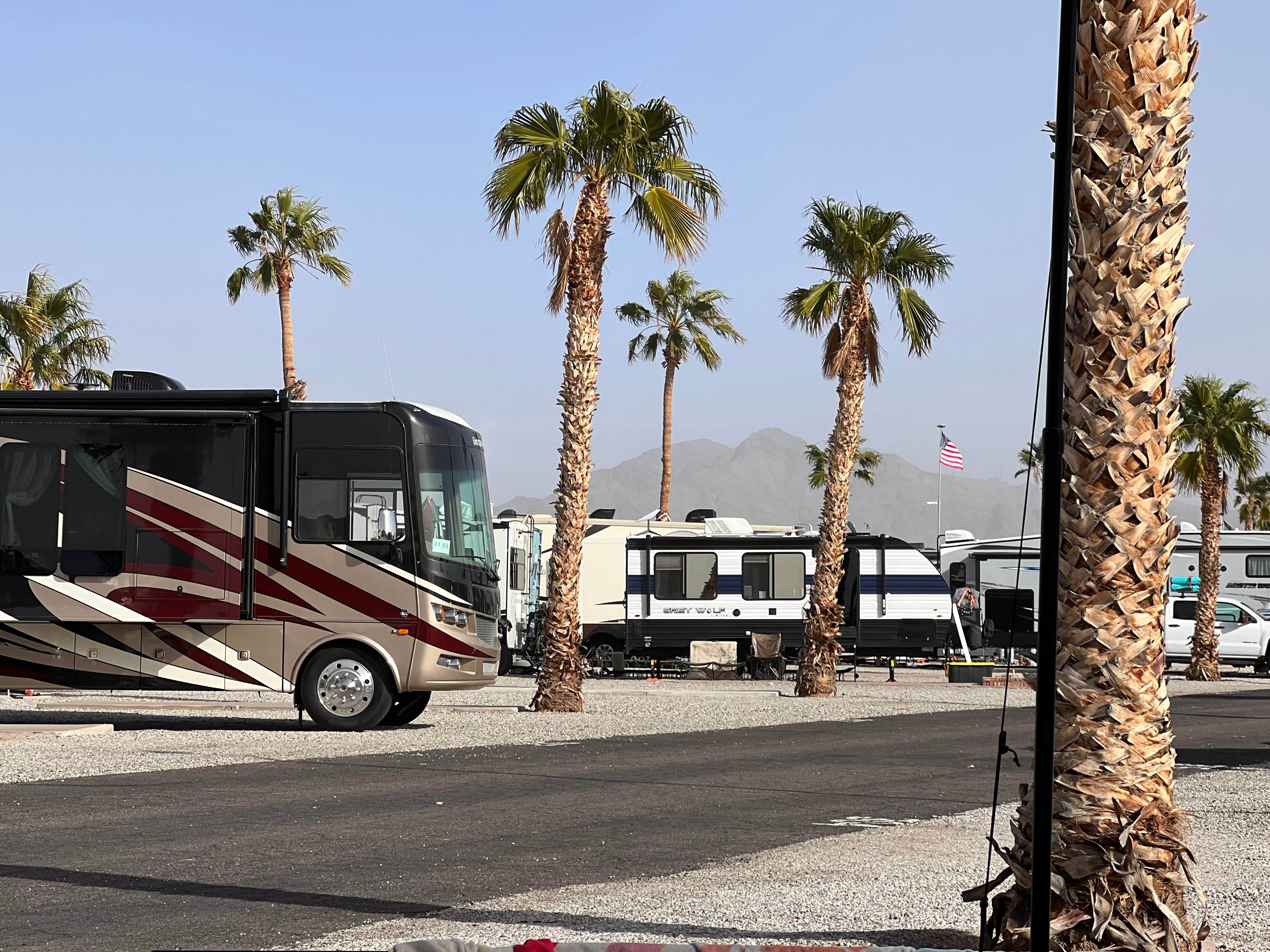Pamela H.'s photo of rv camping at Encore Foothill Village in Arizona