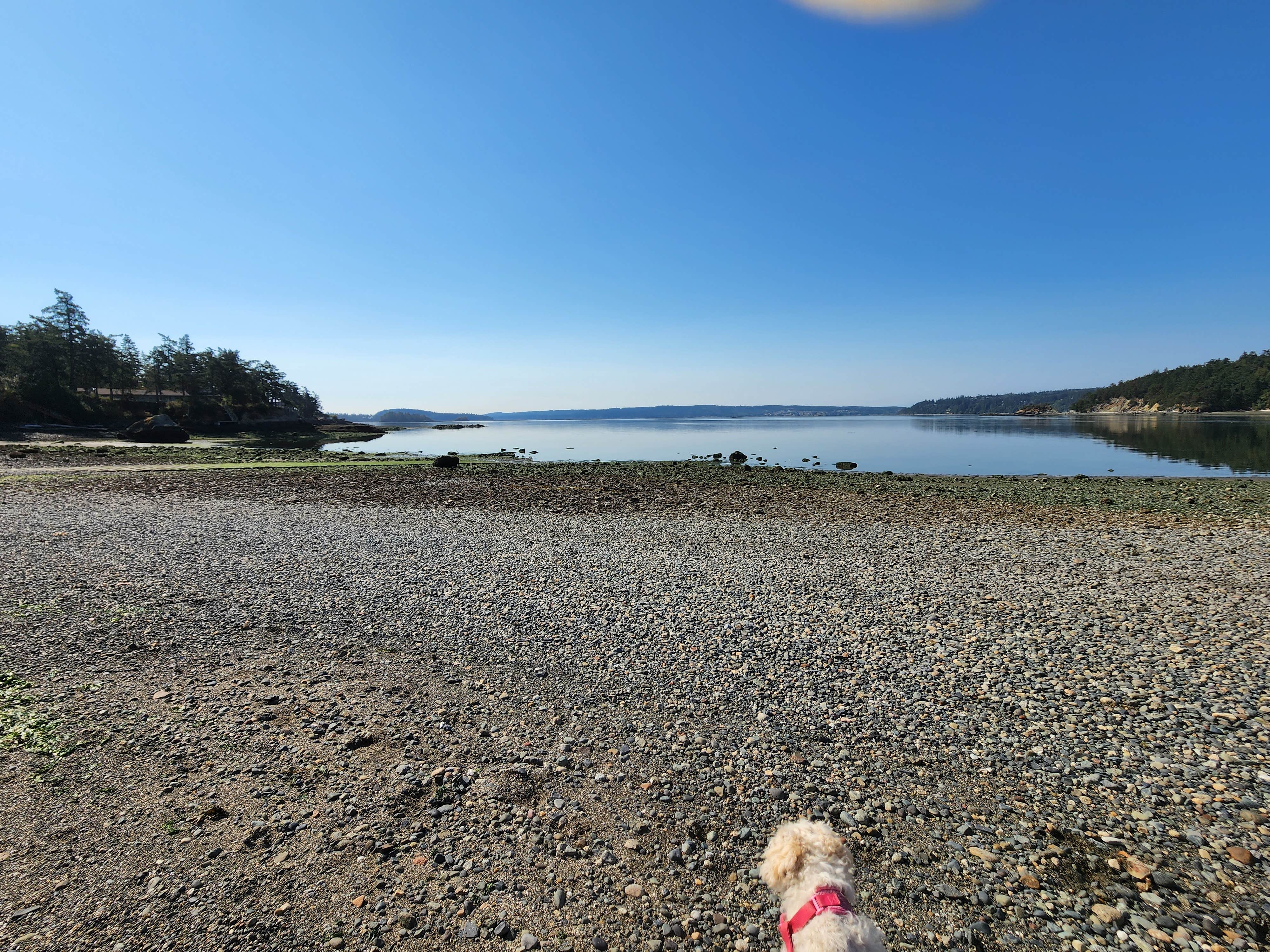 Bambi K.'s photo of camping with pets at La Conner RV near Anacortes, WA