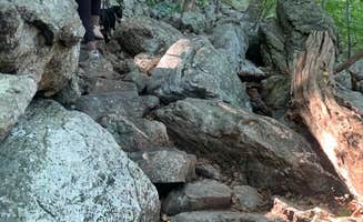Bambi K.'s photo of camping with pets at Thousand Trails Grandy Creek near Marblemount, WA