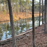 Review photo of Gum Springs Recreation Area — Kisatchie National Forest by Chris M., January 16, 2023