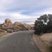 Review photo of Jumbo Rocks Campground — Joshua Tree National Park by Roger W., January 16, 2023