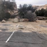 Review photo of Jumbo Rocks Campground — Joshua Tree National Park by Roger W., January 16, 2023