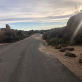 Review photo of Jumbo Rocks Campground — Joshua Tree National Park by Roger W., January 16, 2023