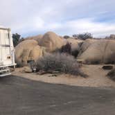 Review photo of Jumbo Rocks Campground — Joshua Tree National Park by Roger W., January 16, 2023