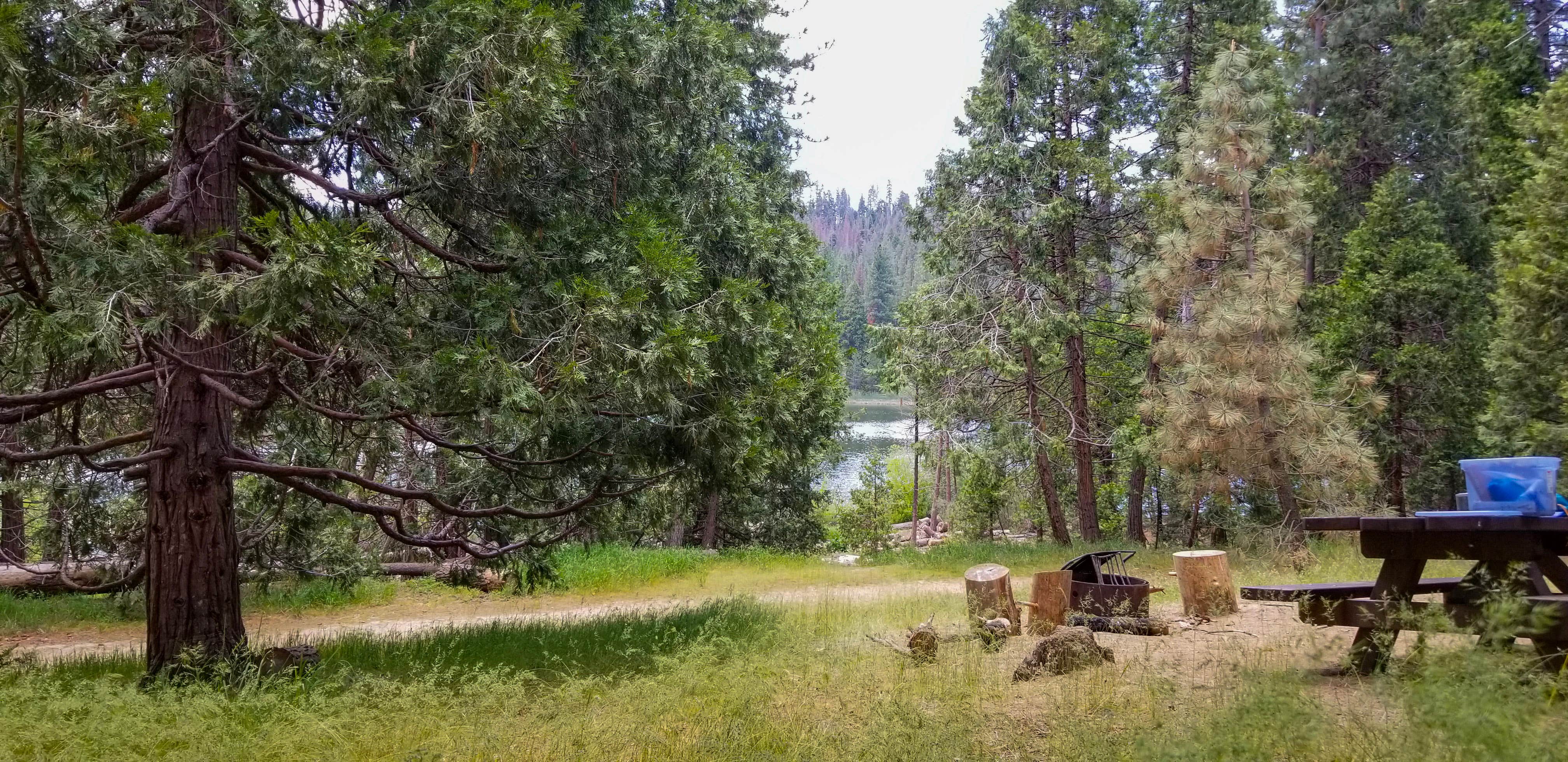 Camper-submitted photo at Sequoia National Forest Hume Lake Campground near Badger, CA