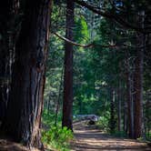 Review photo of Sequoia National Forest Hume Lake Campground by Daniel J., September 28, 2018