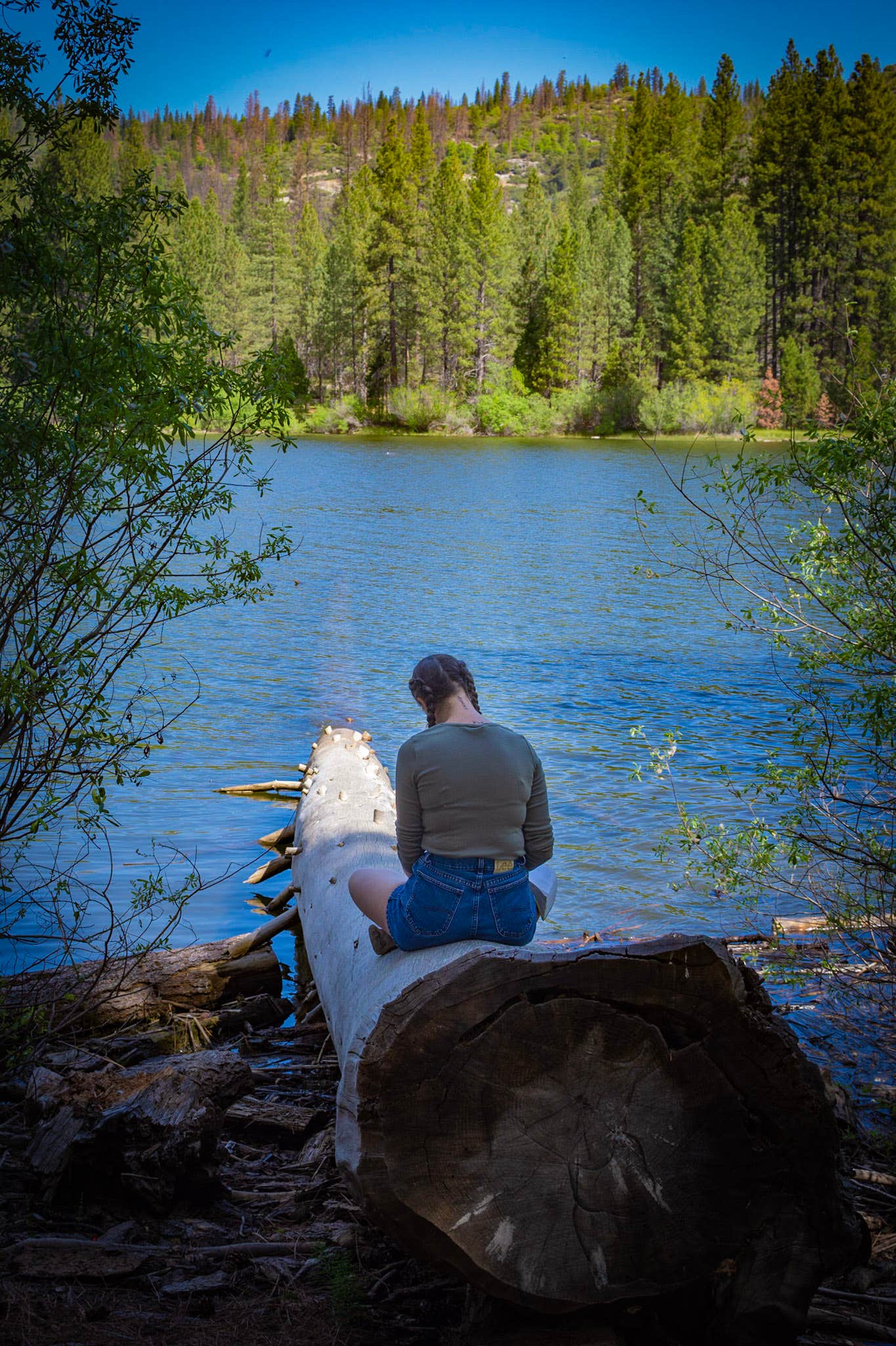 Camper-submitted photo at Sequoia National Forest Hume Lake Campground near Badger, CA