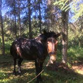 Review photo of Romig Cabin by Ken K., September 28, 2018