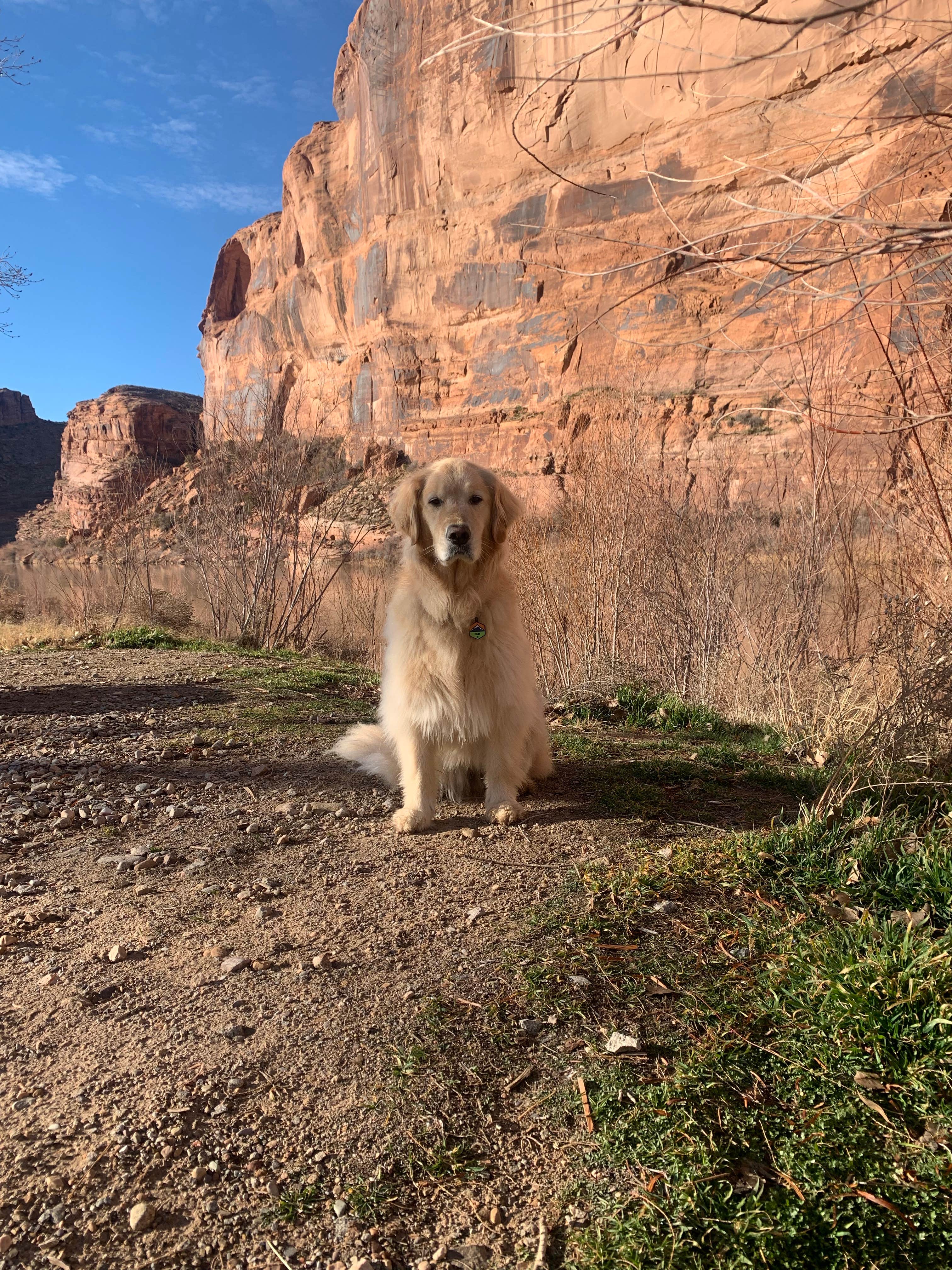 Megan B.'s photo of camping with pets at Goose Island Campground near Arches National Park
