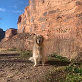 Review photo of Goose Island Campground by Megan B., January 17, 2023