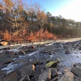 Review photo of Bayou Bluff Point of Interest (POI) by samantha S., January 17, 2023