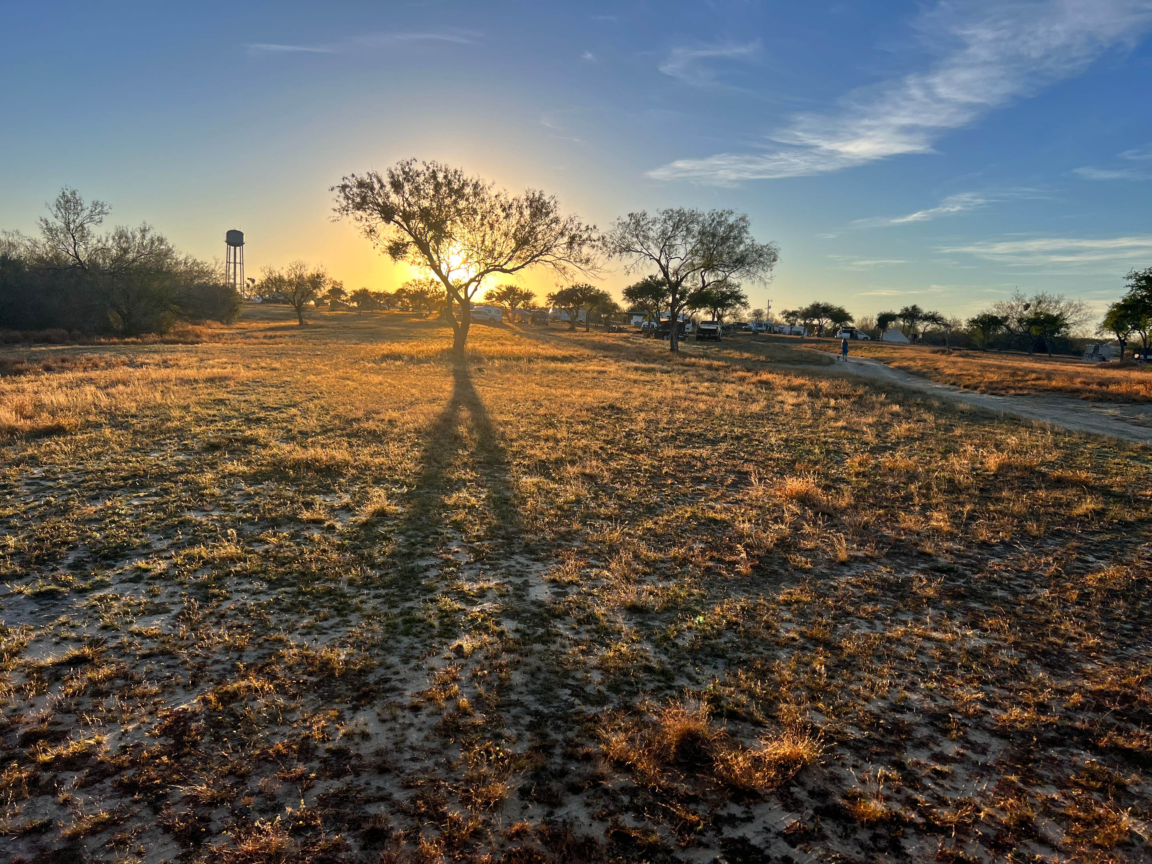 Camper submitted image from Falcon County Park - 4