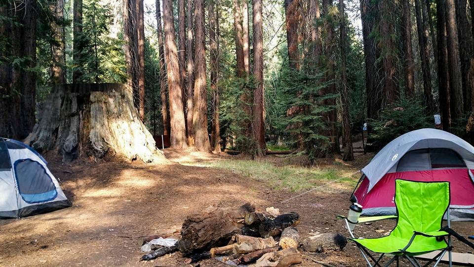 Daniel J.'s photo of tent camping at Atwell Mill Campground — Sequoia National Park near Independence, CA