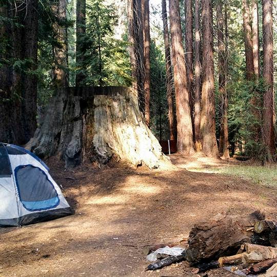 Atwell Mill Campground - Sequoia National Park Camping 