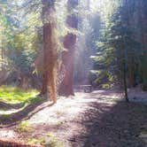 Review photo of Atwell Mill Campground — Sequoia National Park by Daniel J., September 28, 2018