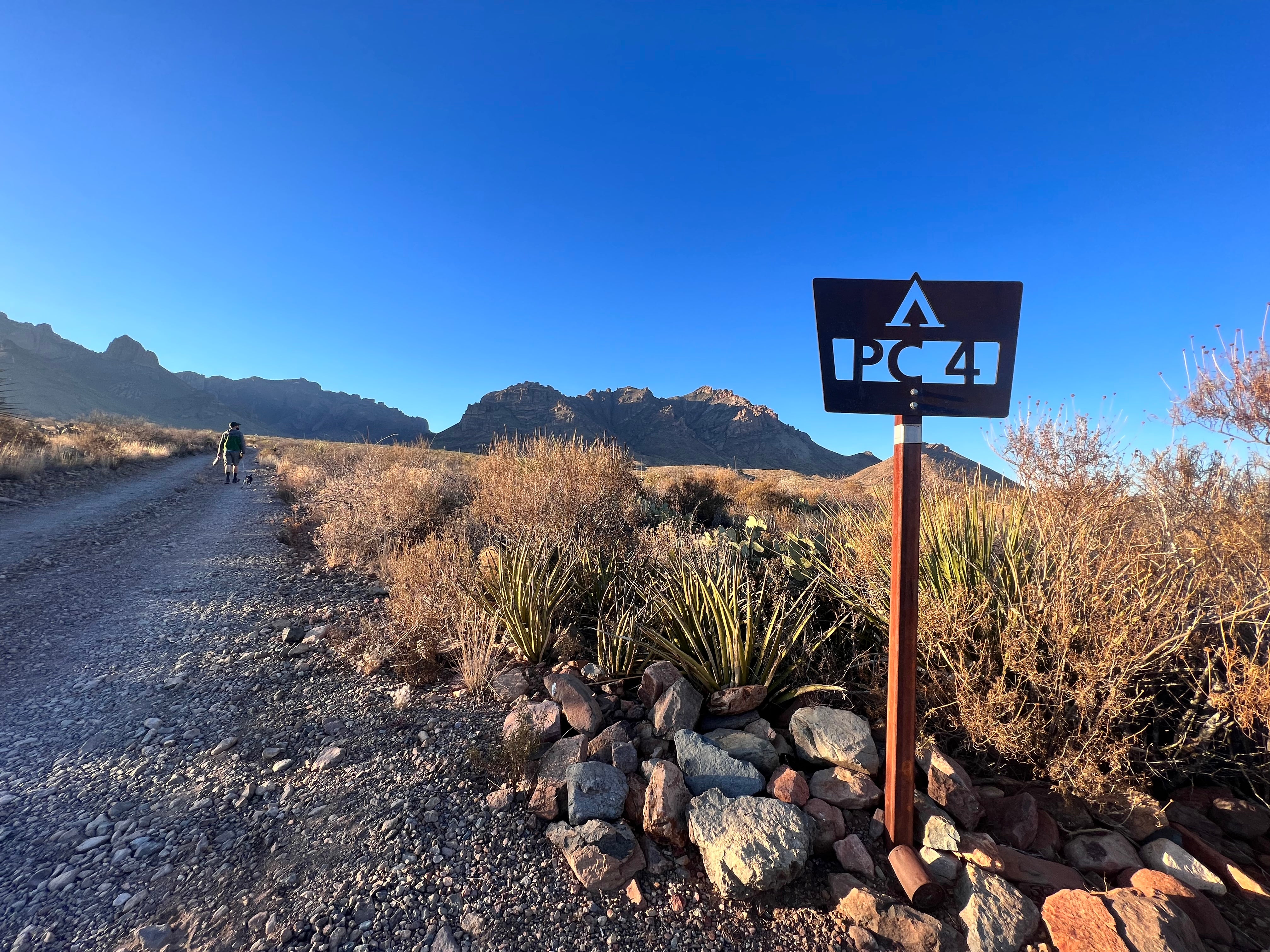 Camper submitted image from Pine Canyon — Big Bend National Park - 5
