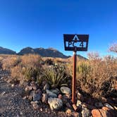 Review photo of Pine Canyon — Big Bend National Park by Aliza  N., January 17, 2023