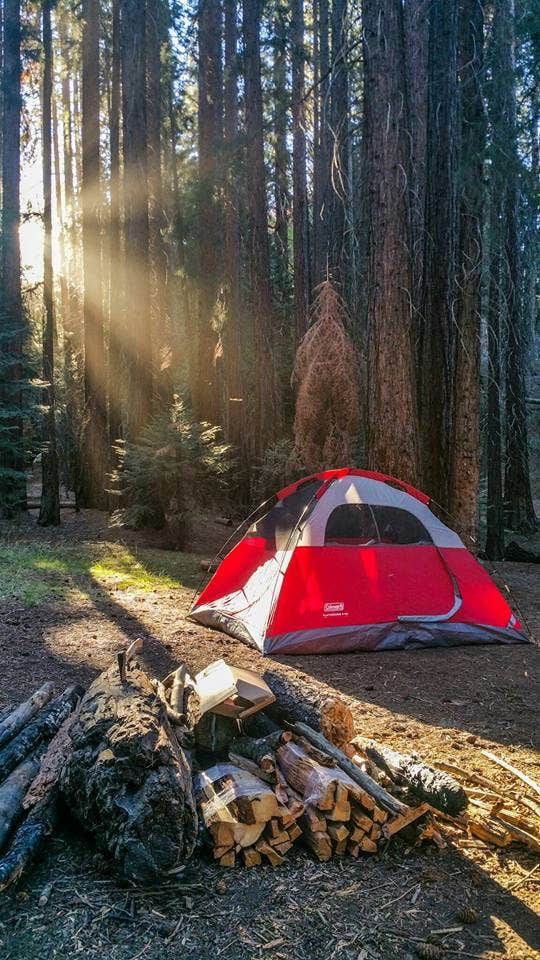 Daniel J.'s photo of tent camping at Atwell Mill Campground — Sequoia National Park near Pixley, CA