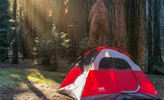 Daniel J.'s photo at Atwell Mill Campground — Sequoia National Park near Kaweah, CA
