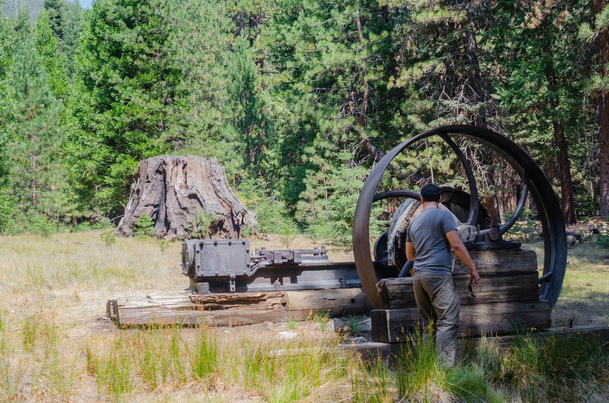 Camper submitted image from Atwell Mill Campground — Sequoia National Park - 4