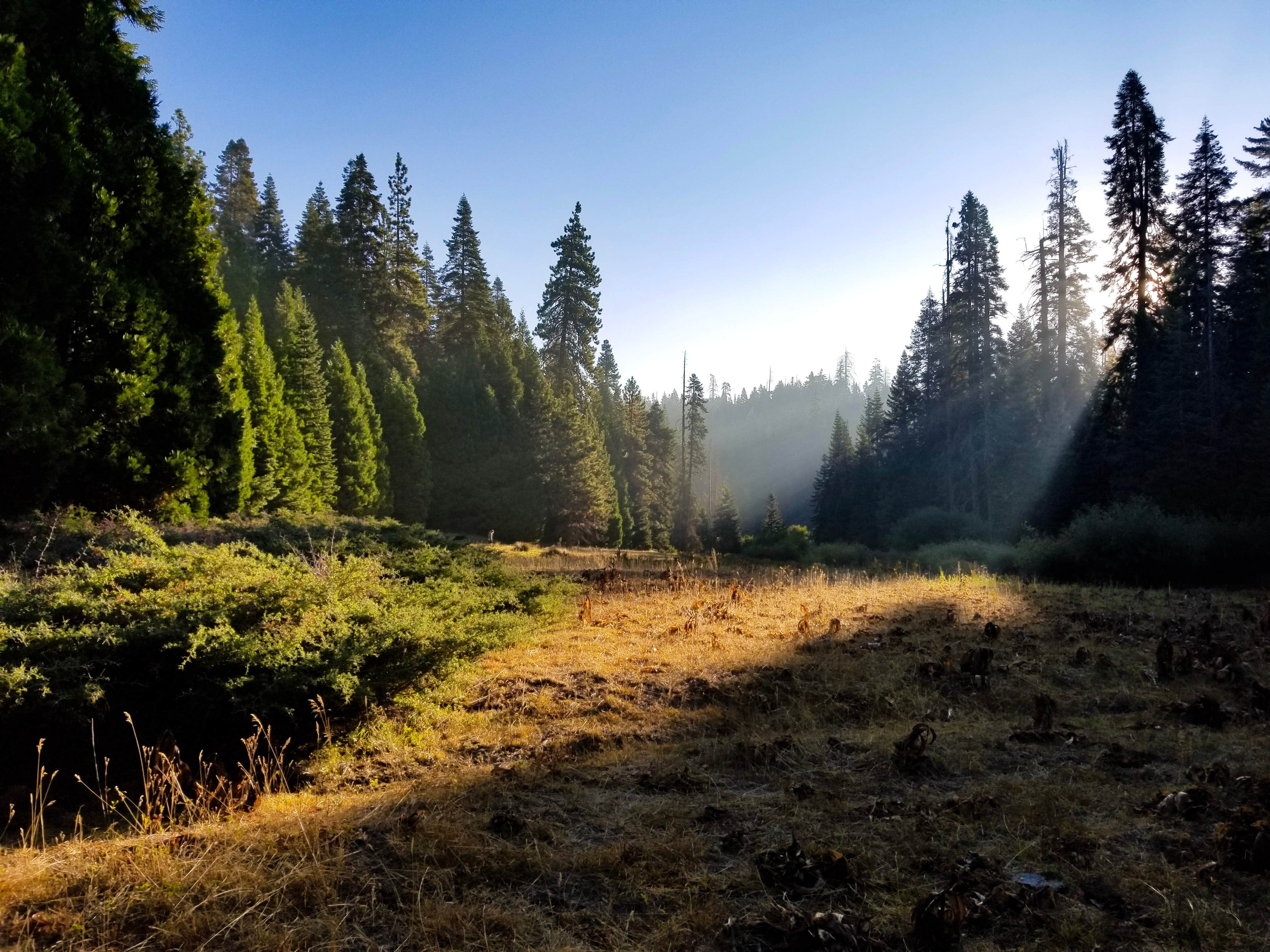Camper-submitted photo at Holey Meadow Campground near Sequoia National Forest