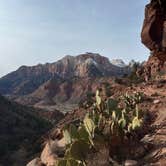 Review photo of Watchman Campground — Zion National Park by Josie M., January 17, 2023