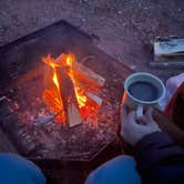 Review photo of Watchman Campground — Zion National Park by Josie M., January 17, 2023