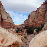 Review photo of Fruita Campground — Capitol Reef National Park by Josie M., January 17, 2023