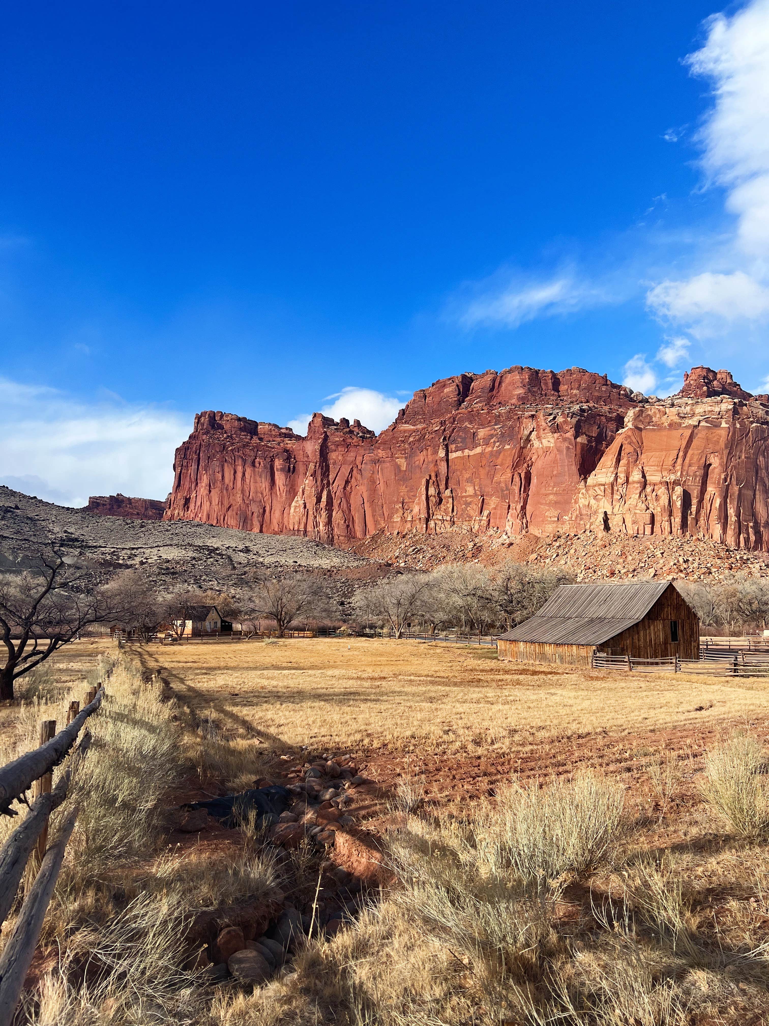 Josie M.'s photo of camping with pets at Fruita Campground — Capitol Reef National Park near Capitol Reef National Park